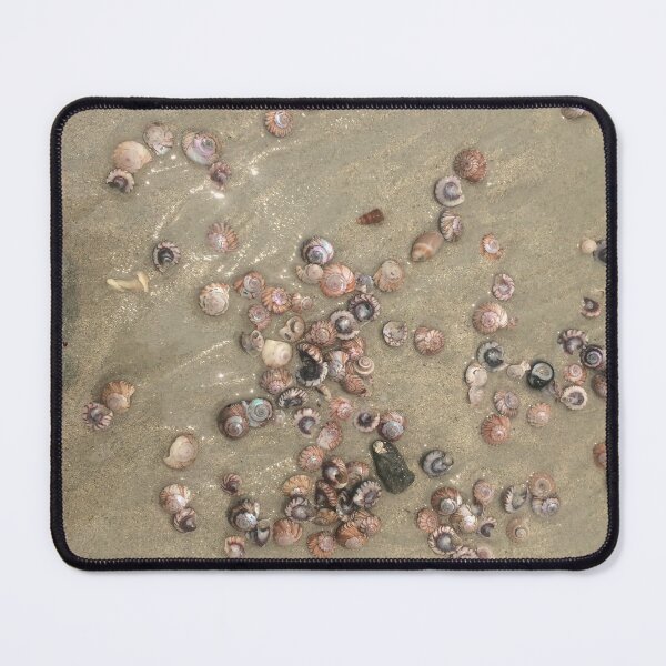 Item preview, Shells on the sandy beach at Houhora designed and sold by KiwiImages.
