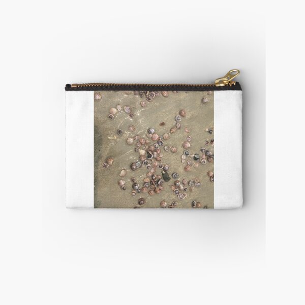 Item preview, Shells on the sandy beach at Houhora designed and sold by KiwiImages.