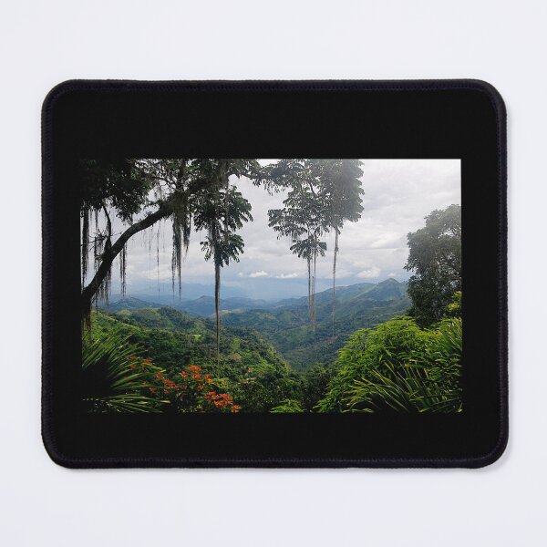 Item preview, Rain forrest designed and sold by DesignbyMorena.