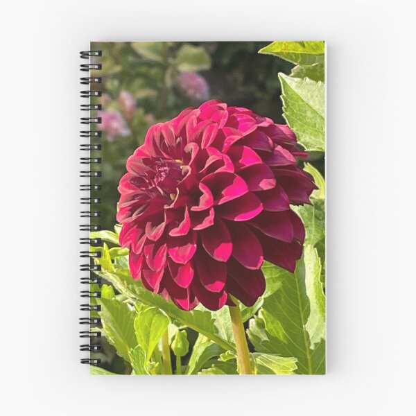Item preview, Beautiful darker red Dahlia flower in bloom designed and sold by ClaudiasCousin.