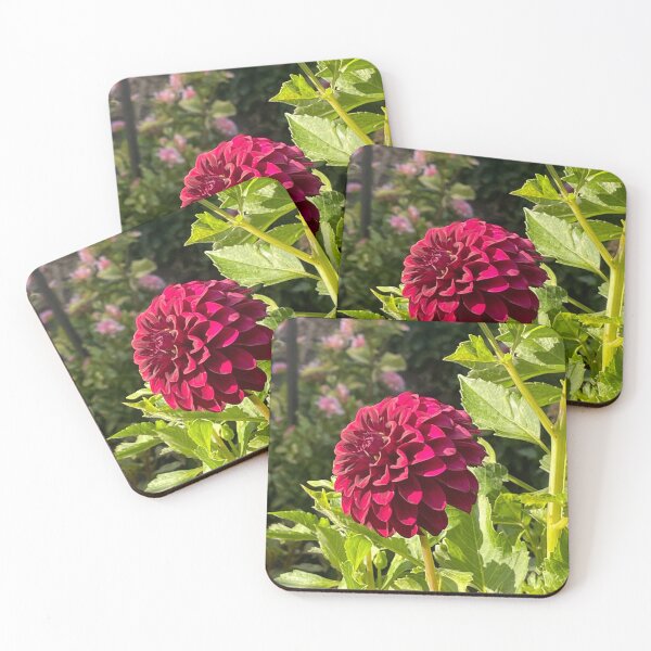 Item preview, Beautiful darker red Dahlia flower in bloom designed and sold by ClaudiasCousin.