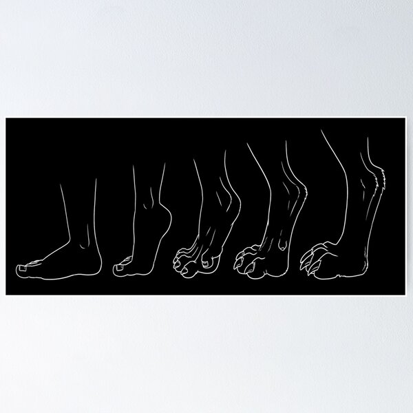 Item preview, Werewolf Foot Transformation designed and sold by AubrietaRose.
