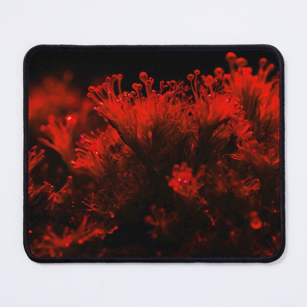 Item preview, Beautiful Orange Sea Weed designed and sold by SassyArtistry.