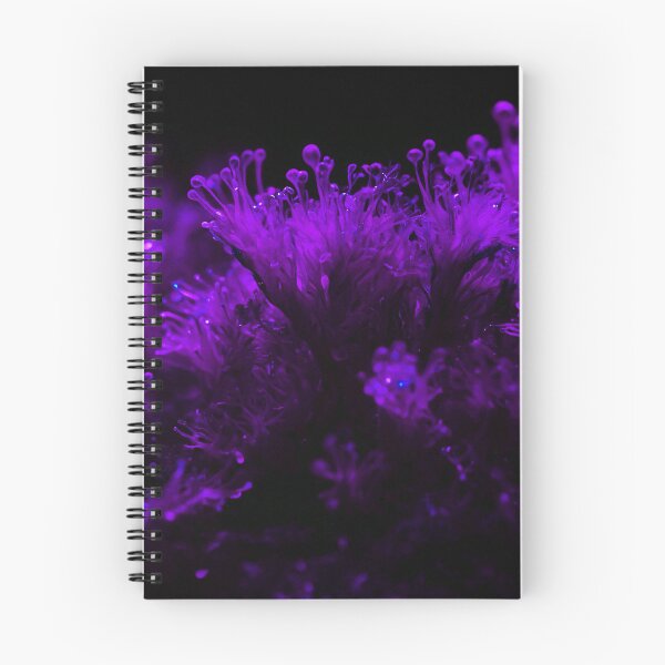 Item preview, Beautiful Purple Sea Weed designed and sold by SassyArtistry.