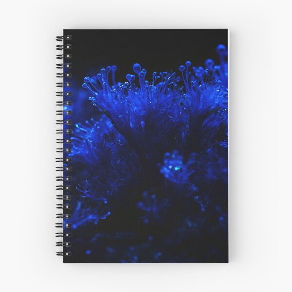 Item preview, Beautiful Dark Blue Sea Weed designed and sold by SassyArtistry.
