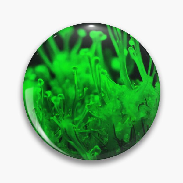 Item preview, Beautiful Neon Green Sea Weed designed and sold by SassyArtistry.