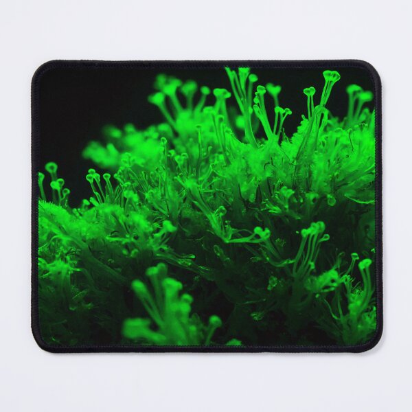 Item preview, Beautiful Neon Green Sea Weed designed and sold by SassyArtistry.