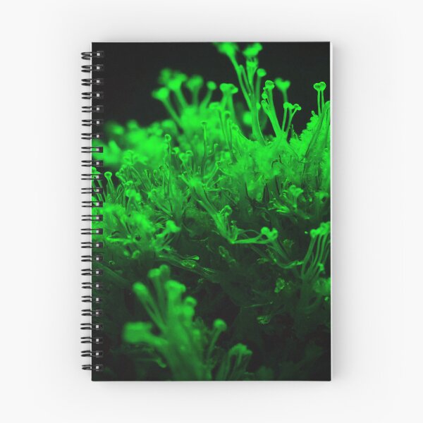 Item preview, Beautiful Neon Green Sea Weed designed and sold by SassyArtistry.