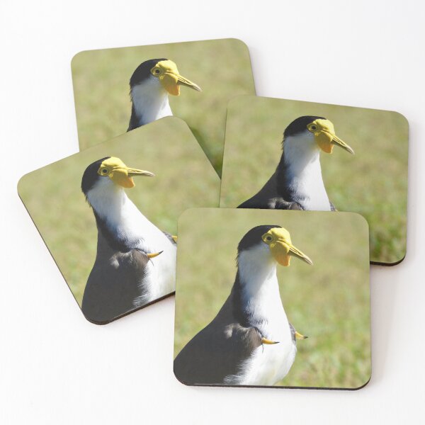 Item preview, Masked Lapwing plover showing spurs designed and sold by Mark Grimsley.