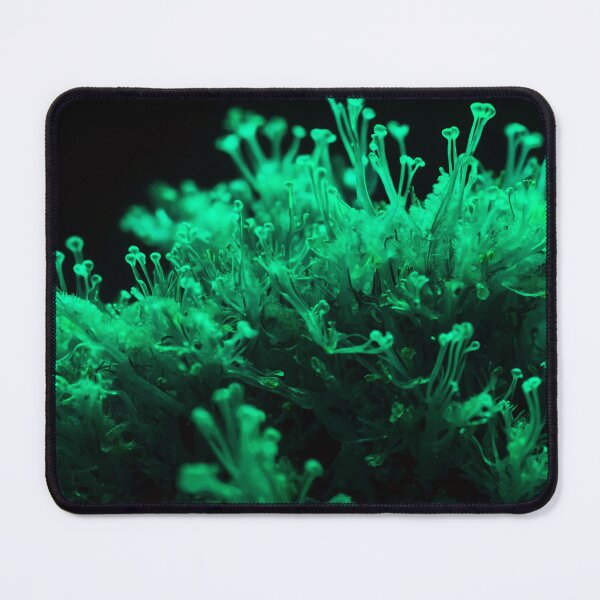 Item preview, Beautiful Teal Sea Weed designed and sold by SassyArtistry.