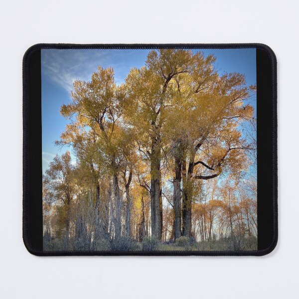 Item preview, Cottowoods in the Fall designed and sold by janannes.