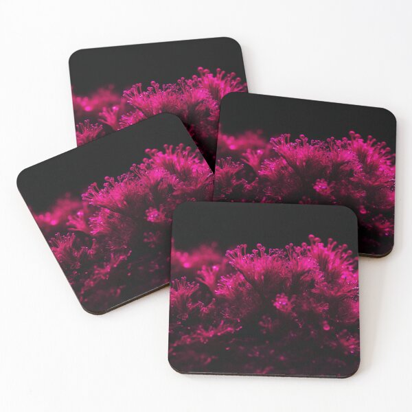 Item preview, Beautiful Fluffy Pink Sea Weed designed and sold by SassyArtistry.