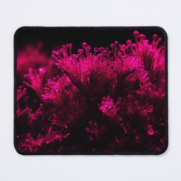 Item preview, Beautiful Fluffy Pink Sea Weed designed and sold by SassyArtistry.