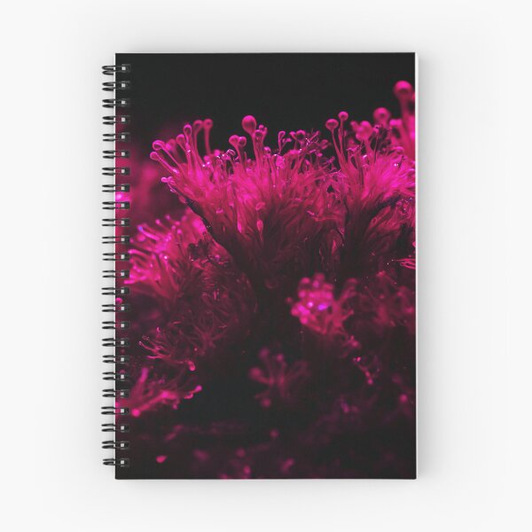 Item preview, Beautiful Fluffy Pink Sea Weed designed and sold by SassyArtistry.
