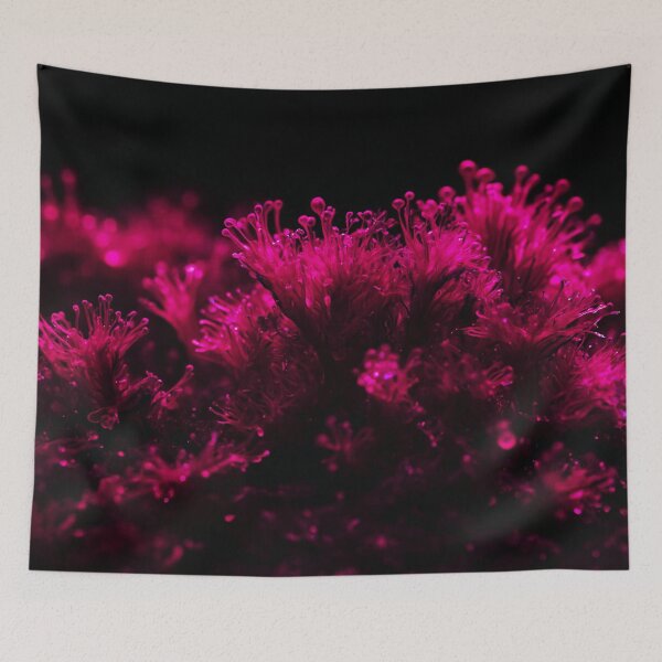 Item preview, Beautiful Fluffy Pink Sea Weed designed and sold by SassyArtistry.