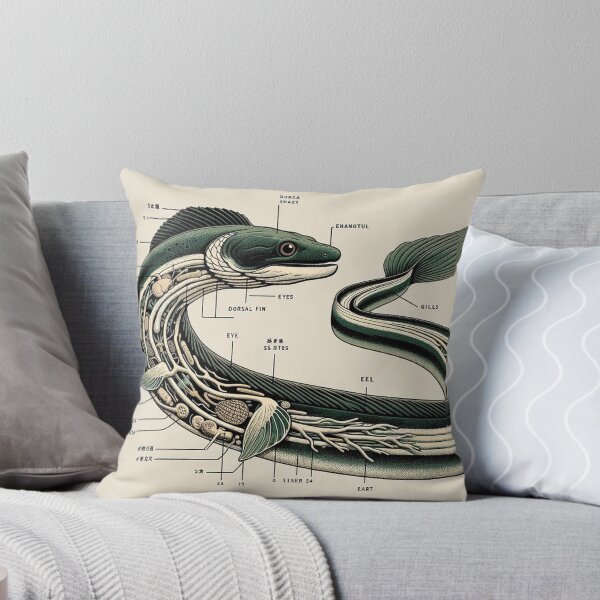 Item preview, Japanese Eel Anatomy Diagram designed and sold by Darbathorn.