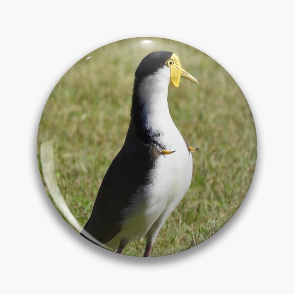 Item preview, Masked Lapwing plover spurs out designed and sold by Mark Grimsley.