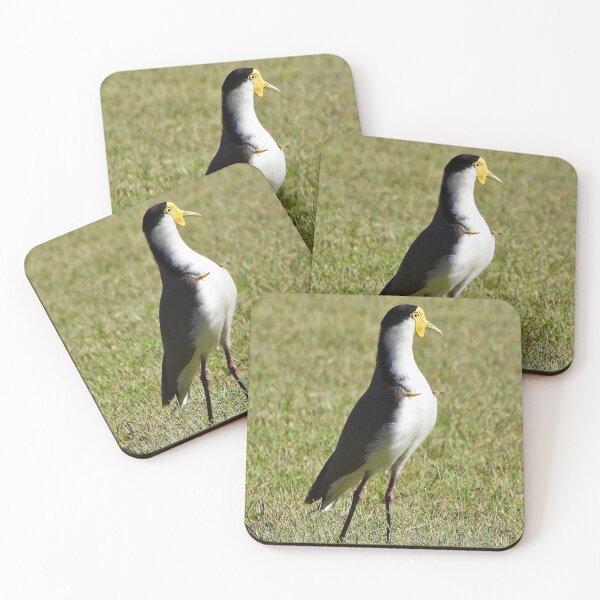 Item preview, Masked Lapwing plover spurs out designed and sold by Mark Grimsley.