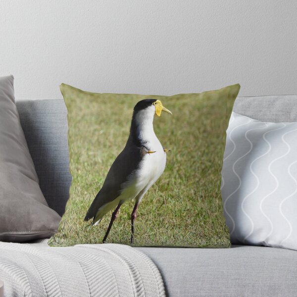 Item preview, Masked Lapwing plover spurs out designed and sold by Mark Grimsley.