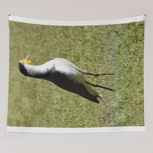 Item preview, Masked Lapwing plover spurs out designed and sold by Mark Grimsley.