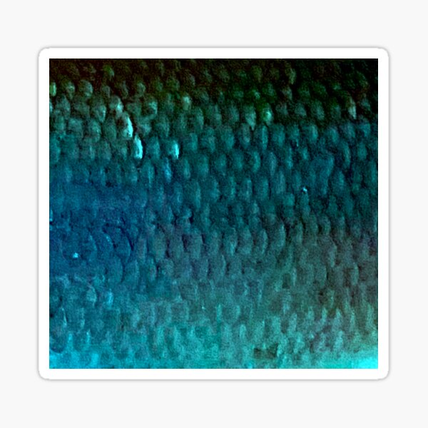 Vista previa del artículo con la obra «Báscula Chub versión Aqua», diseñado y vendido por CJRPics.