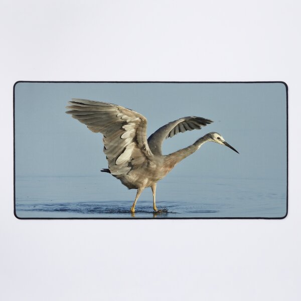 Item preview, Mighty wings White faced heron designed and sold by Mark Grimsley.