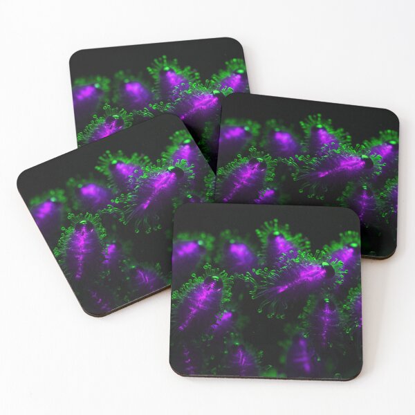 Item preview, Beautiful Green And Purple Plankton Creatures designed and sold by SassyArtistry.