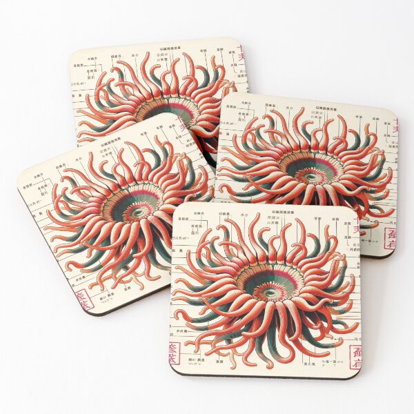Item preview, Japanese Sea Anemone Anatomy Chart designed and sold by Darbathorn.