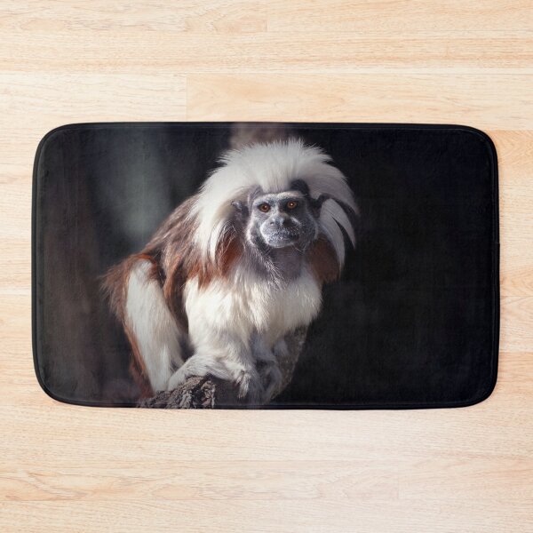 Item preview, Cotton-top Tamarin  designed and sold by Savannah Gibbs.