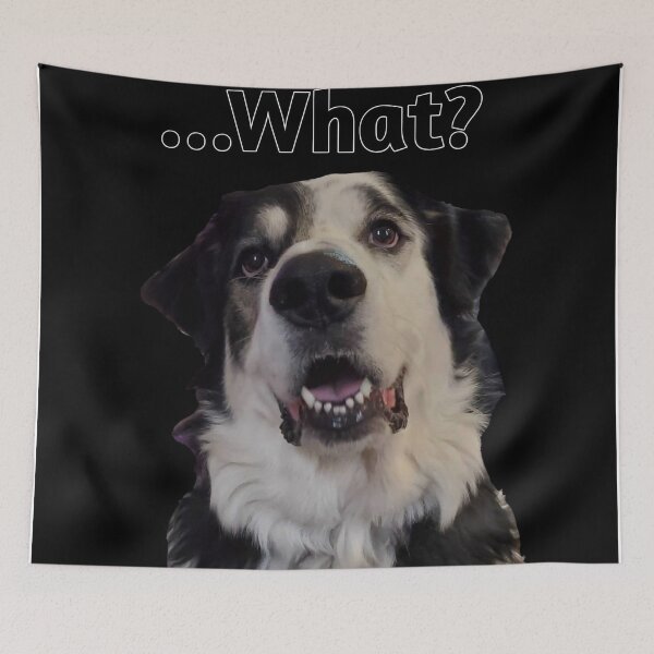 Item preview, What Quote designed and sold by YHWH Photography.