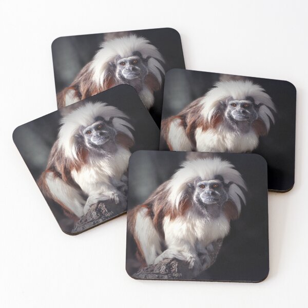 Item preview, Cotton-top Tamarin  designed and sold by Savannah Gibbs.