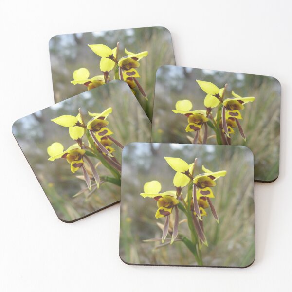 Item preview, Tiger orchid, Waverley Flora Park, Tasmania designed and sold by OrangeShperes.