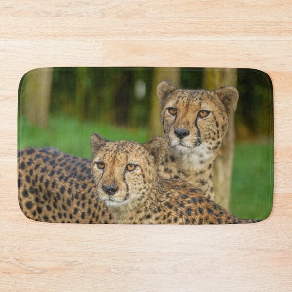 Item preview, Cheetah Duo designed and sold by rawshutterbug.
