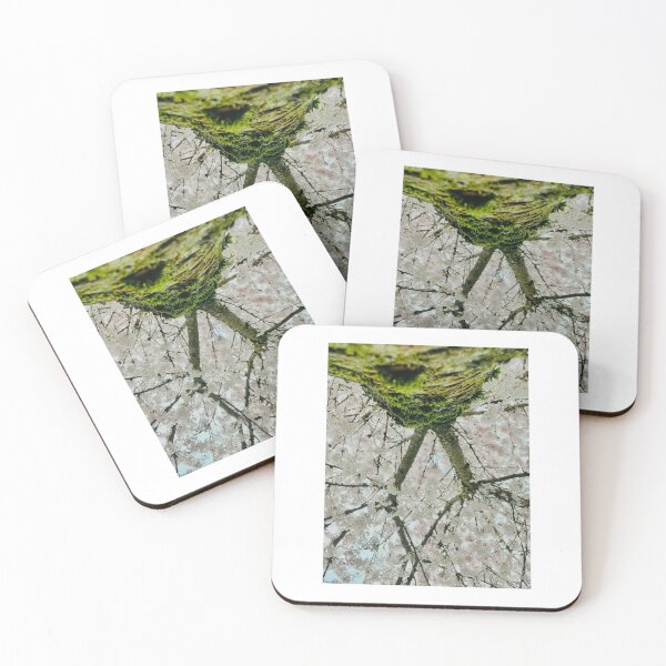Item preview, Spring Bloom designed and sold by Amanda Crone.
