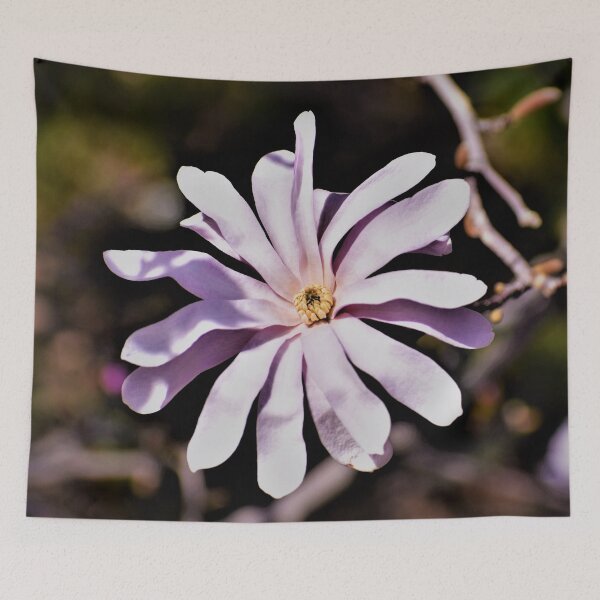 Item preview, Magnolia Blossom III designed and sold by Len Bomba.