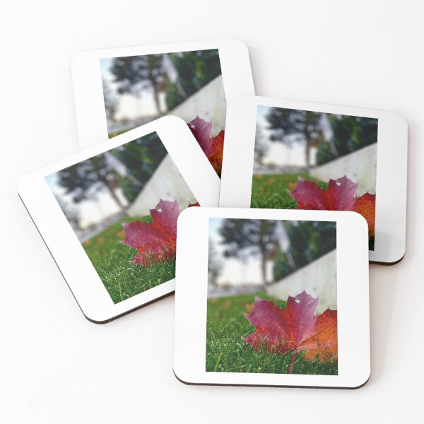Artikelvorschau, Where you leaf, I will follow! entworfen und verkauft von Amanda Crone.