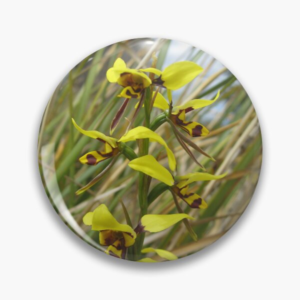 Item preview, Tiger orchid, Waverley Flora Park, Tasmania designed and sold by OrangeShperes.