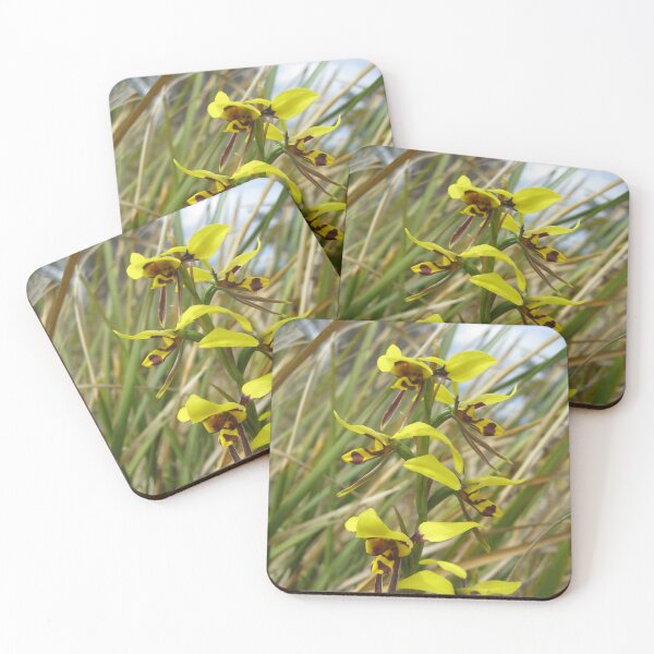 Item preview, Tiger orchid, Waverley Flora Park, Tasmania designed and sold by OrangeShperes.