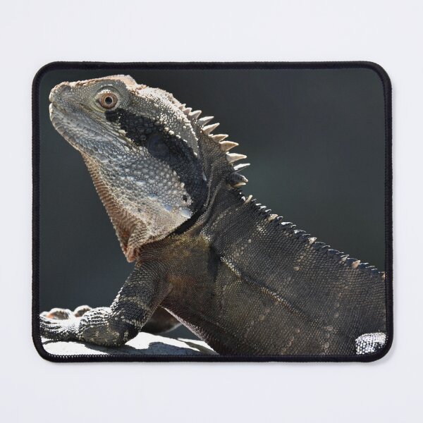 Item preview, Eastern Water Dragon designed and sold by BroomstickMagic by Dani Musicka.