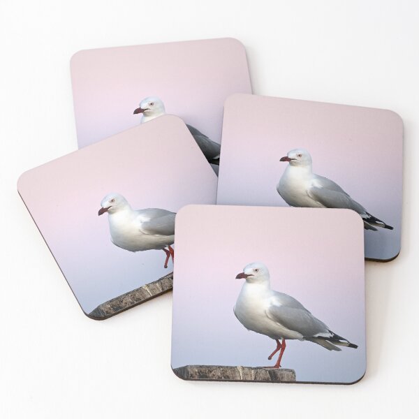 Item preview, Curious Seagull designed and sold by BroomstickMagic by Dani Musicka.