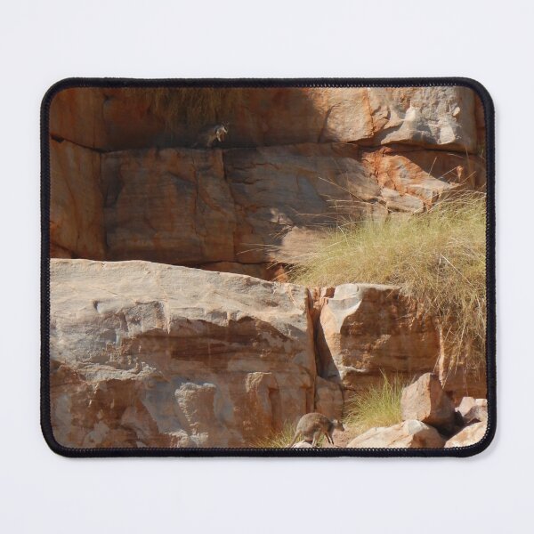 Item preview, Two rock wallabies on a sandstone cliff face. designed and sold by EAnneH.