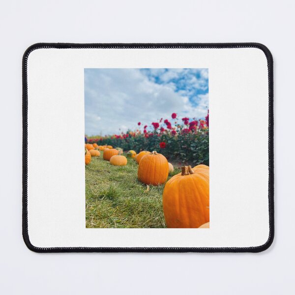 Item preview, Witch way to the pumpkin patch? designed and sold by Amanda Crone.