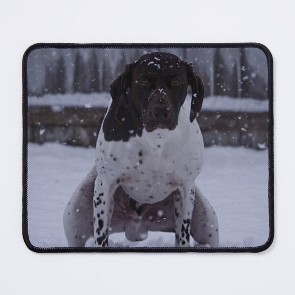 Item preview, German shorthair pointer snow stare designed and sold by Horsequeenozie.