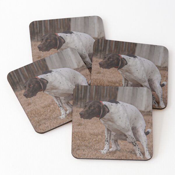 Item preview, German shorthair pointer glare pooping  designed and sold by Horsequeenozie.