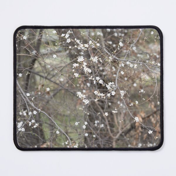 Item preview, Spring is Coming - Plum Tree with Dainty Branches and Blossoms designed and sold by Georgia Mizuleva.