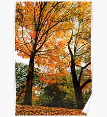 Fall - Beautiful couple Poster