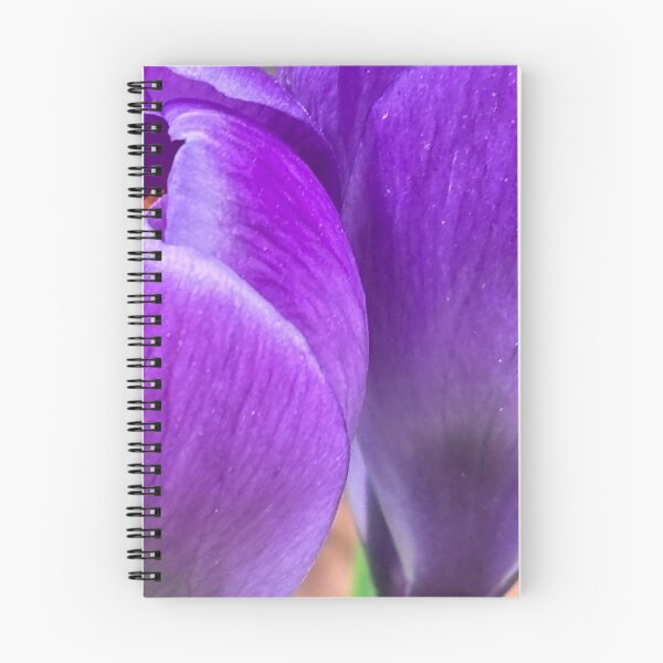 Item preview, Crocus .Spring 2024 designed and sold by © Andrzej Goszcz,M.D. Ph.D.