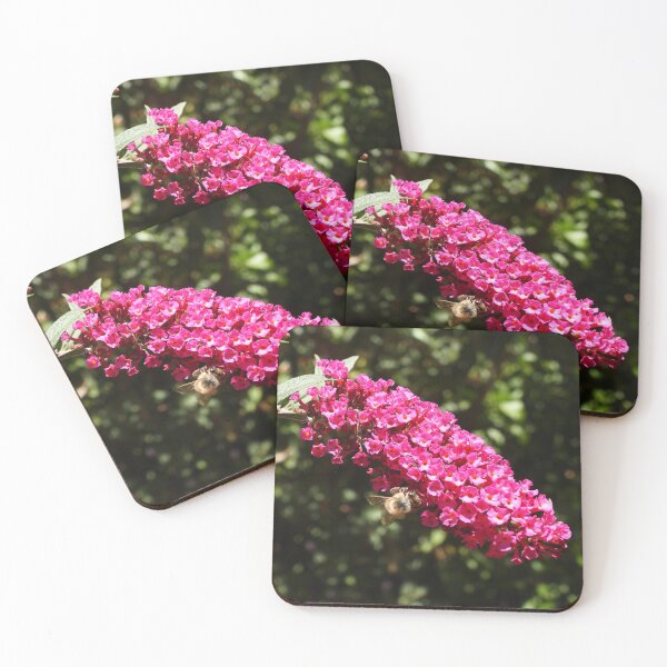 Item preview, A beautiful bee on some buddleia designed and sold by Claire L Page Photography.