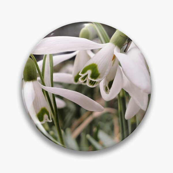 Item preview, Early spring and snowdrops designed and sold by lusiakotowska.