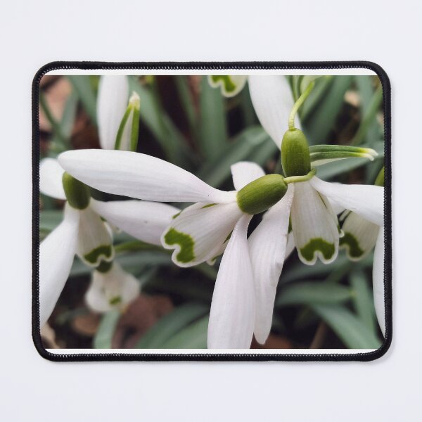 Item preview, Early spring and snowdrops designed and sold by lusiakotowska.